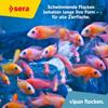 sera Vipan Flakes 1,000 ml (210 g) | Fish Food for Ornamental Fish view 4