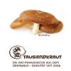 Organic Vital Mushroom Powder – Reishi, Hericium, Cordyceps, Shiitake – Made in the EU – Premium Quality from Tausendkraut – 200 g to 500 g (200 g, Shiitake 200 g) view 3