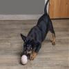 Beeztees Puppy Playball, Rubber, 6 cm, Pink view 2