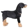 GEMSeven Dog Rear-Leg Hock Joint Support Wrap, 2-Piece Set view 1