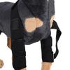 GEMSeven Dog Rear-Leg Hock Joint Support Wrap, 2-Piece Set view 3