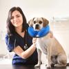 Ranphy Protective Inflatable Recovery Collar for Dogs and Cats view 4