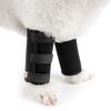 Zunea Dog Leg Support Brace - 2 Pack view 4