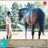 EMMA Chamomile Horse Shampoo, 2.5 L – pH-Neutral Coat Care view 4