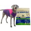 Surgi~Snuggly Disposable Dog Diaper Cover for Male and Female Dogs, Leg-Wrap Design, Size ML-PP view 1