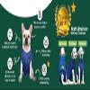 Surgi~Snuggly Disposable Dog Diaper Cover for Male and Female Dogs, Leg-Wrap Design, Size ML-PP view 4