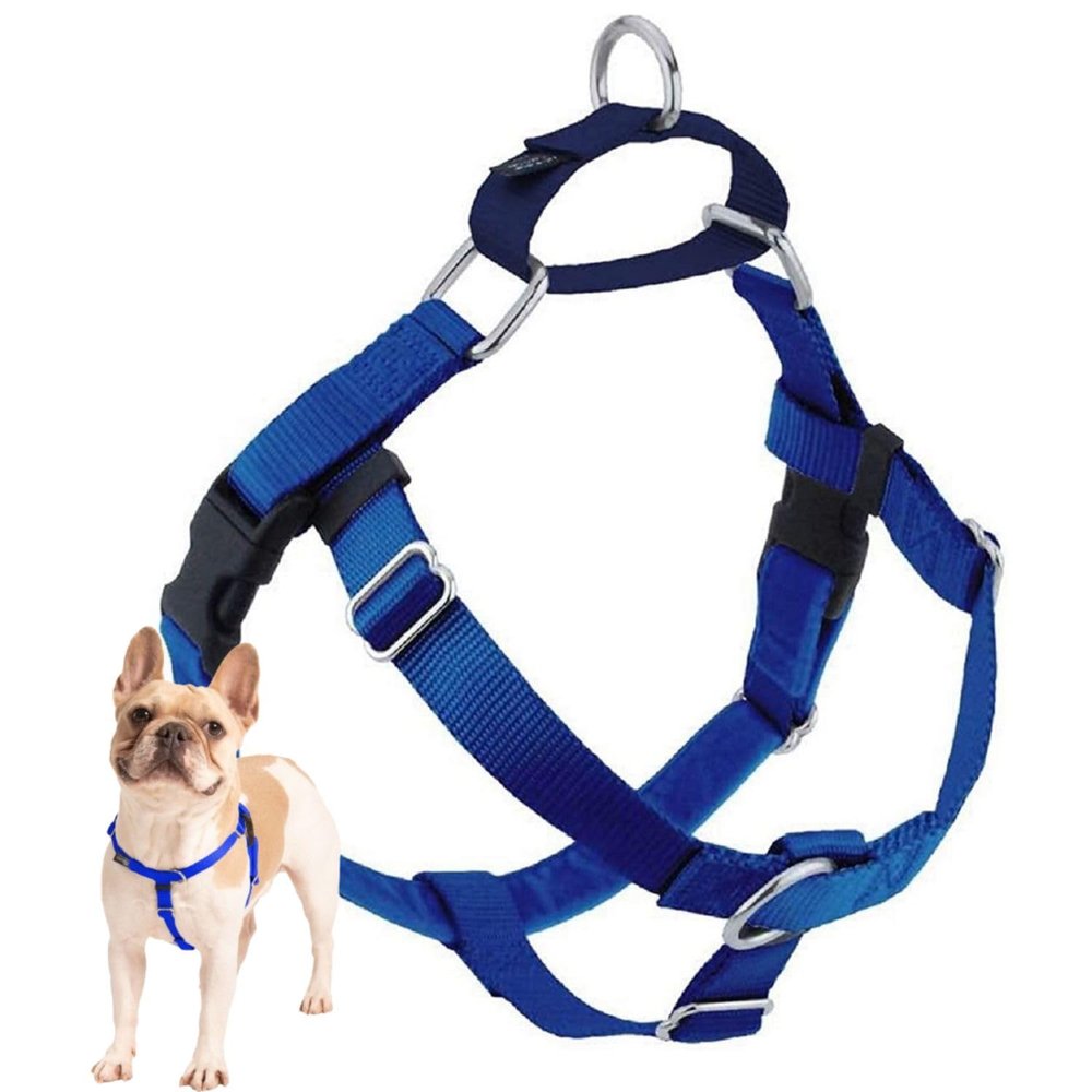 2 Hounds Design Freedom No Pull Dog Harness, Adjustable, Comfortable Control for Easy Walks, for Small, Medium, and Large Dogs, XL, Royal Blue