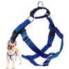 2 Hounds Design Freedom No Pull Dog Harness, Adjustable, Comfortable Control for Easy Walks, for Small, Medium, and Large Dogs, XL, Royal Blue view 1