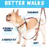 2 Hounds Design Freedom No Pull Dog Harness, Adjustable, Comfortable Control for Easy Walks, for Small, Medium, and Large Dogs, XL, Royal Blue view 2