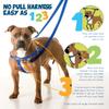 2 Hounds Design Freedom No Pull Dog Harness, Adjustable, Comfortable Control for Easy Walks, for Small, Medium, and Large Dogs, XL, Royal Blue view 3