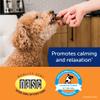 ThunderWunders Calming Chews for Dogs with Thiamine, L-Tryptophan, Melatonin and Ginger, 180 Count view 3