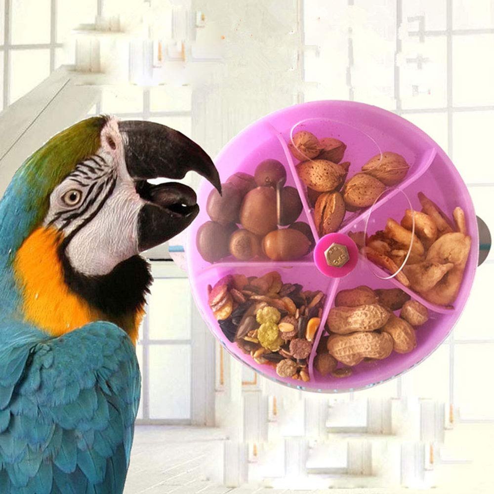Fruit and Vegetable Holder for Birds