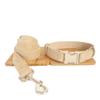 Solid Color Dog Collar and Leash Set view 1