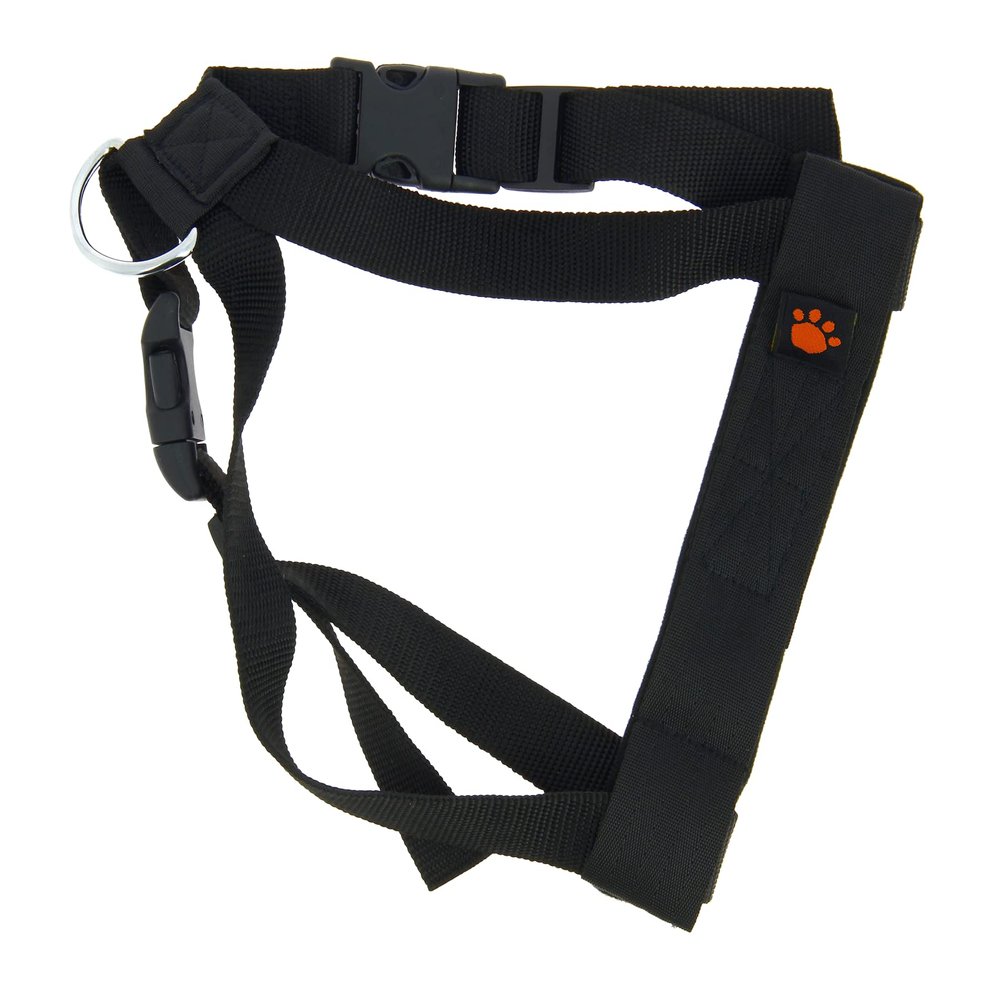 Animals&Car 170020 Dog Safety Harness, Adjustable