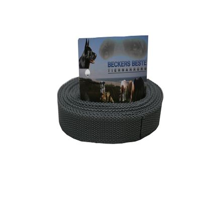 9 m Gray Nylon Dog Leash with Loop