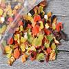 100 g (0.22 lb) Chinese Fruit-Flavored Herbal Tea view 2