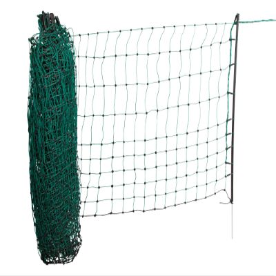 AKO Electric Netting for Small Animals and Cats, Green, 77 cm, Single Spike, 25 m