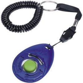 Nobby Clicker with Spiral Loop 6 x 4 cm