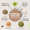FAIRNATURAL Organic Vegan Protein Powder, Chocolate, Soy-Free [600 g], 5K Protein, Lactose-Free view 3
