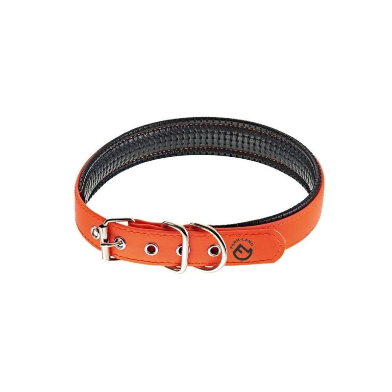 Farm-Land Comfort Dog Collar, Signal Orange, 55 cm, Faux-Leather Padded, High Visibility