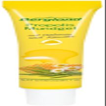 Bergland Propolis Oral Gel, 13.5 ml