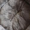 Levoberg Round Gray Pet Bed with Blanket view 3