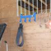 Perry Equestrian Sturdy Handy 4-Hook Hanger, Blue view 2