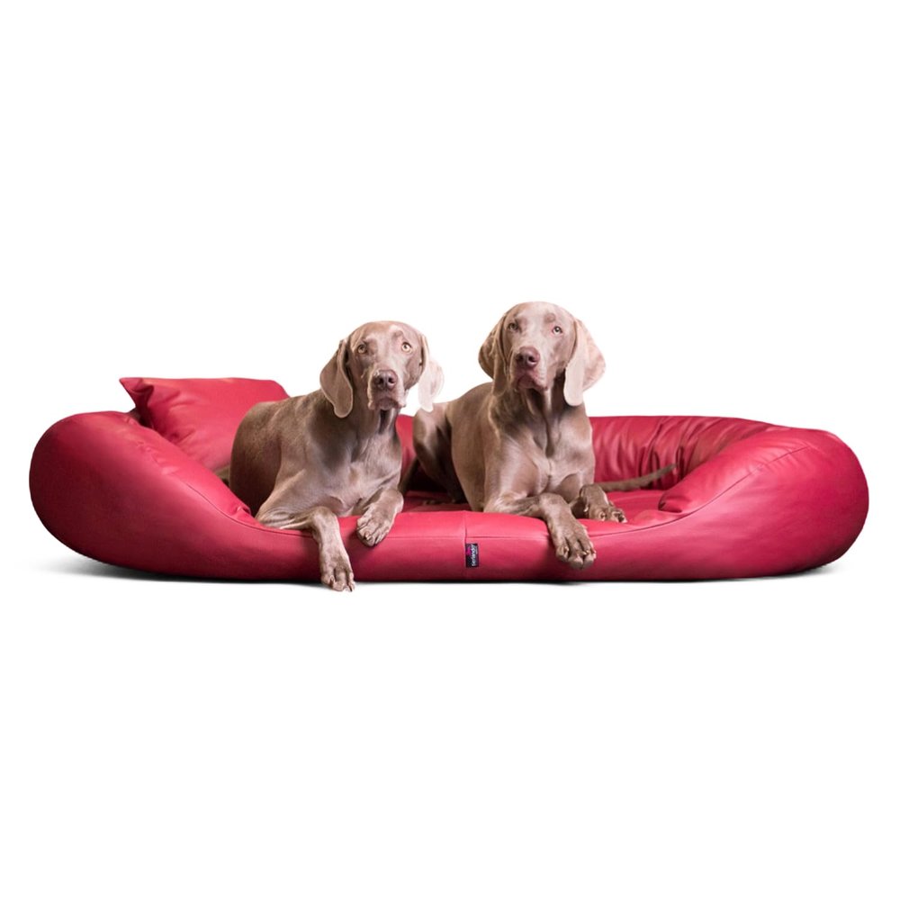 tierlando Orthopedic Dog Bed SAMMY EASY CLEAN with Viscoelastic Mattress, High Faux Leather Rim, 140 x 105 cm, Color 04 Dark Red