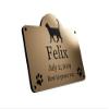 Origin Pet Memorial Plaque, Customizable, Waterproof view 1