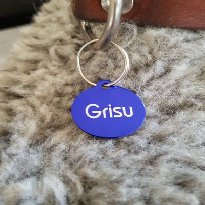 Gravuren.store 2 Pack Pet ID Tags Round Address Keychains