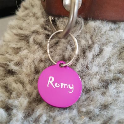 Gravuren.store 2 Pack Round Pet ID Tags