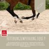 MSM Horse Equi P Joint Booster 30ml view 3