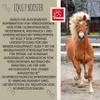 MSM Horse Equi P Joint Booster 30ml view 4