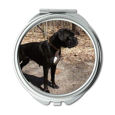 YENDOSTEEN Chihuahua Puppy Round Compact Mirror, 1X/2X Magnification