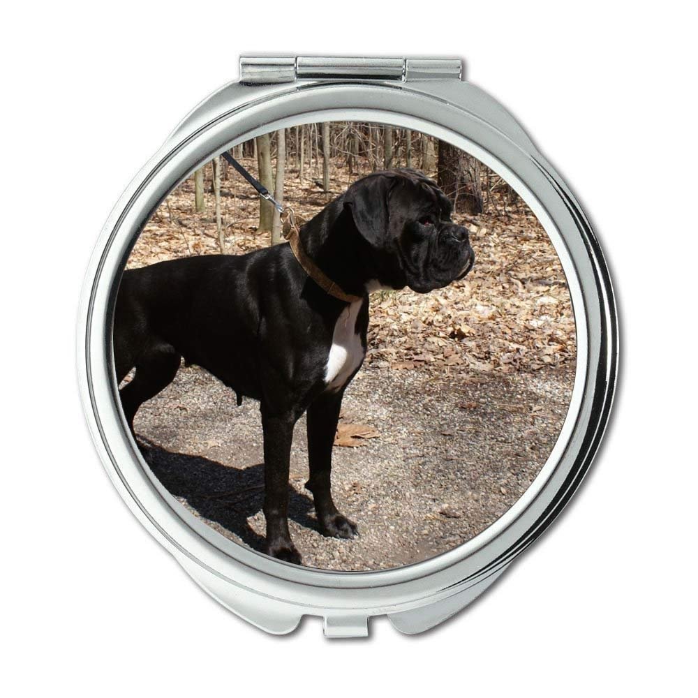 YENDOSTEEN Chihuahua Puppy Round Compact Mirror, 1X/2X Magnification