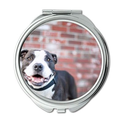 YENDOSTEEN Compact Mirror with Colorful Dogs, 1X/2X Magnification