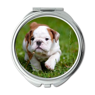YENDOSTEEN Chihuahua Puppy Dog Compact Mirror, Pocket Mirror, 1X/2X Magnification