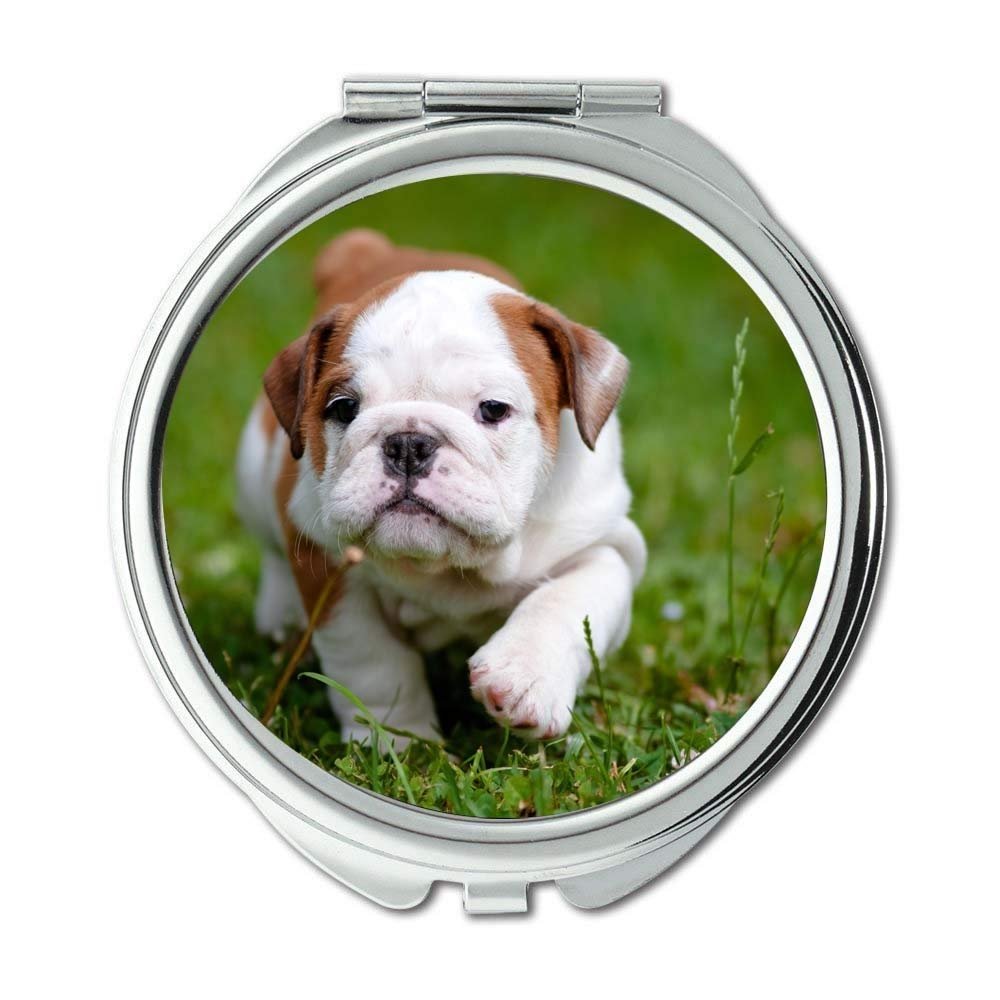YENDOSTEEN Chihuahua Puppy Dog Compact Mirror, Pocket Mirror, 1X/2X Magnification