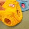 BT Bear Reusable Dog Diapers, Durable and Washable view 3
