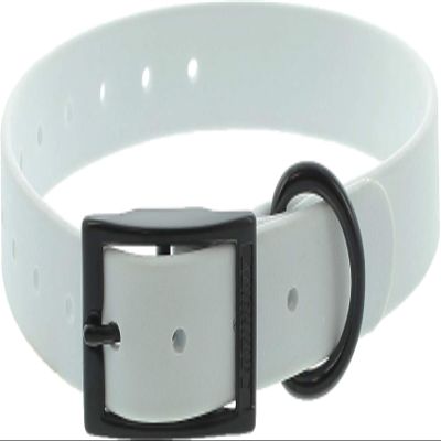 CTECH CY0949 Dog Collar