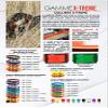 CTECH CY0949 Dog Collar view 3