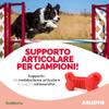 Trebifarma Asudyn20 Supplementary Feed for Dogs and Cats, 24 g view 2