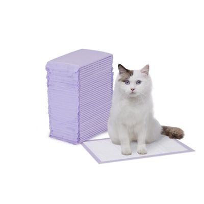 Amazon Basics 40-Pack Disposable Cat Litter Box Liners with Quick-Drying Surface, Purple, Unscented