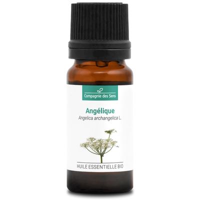 ORGANIC ANGELICA (Angelica archangelica) Essential Oil - 10 ml - 100% Pure, Natural, ChromaCert Certified - Chemotyped & Complete