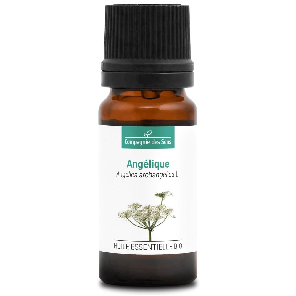 ORGANIC ANGELICA (Angelica archangelica) Essential Oil - 10 ml - 100% Pure, Natural, ChromaCert Certified - Chemotyped & Complete