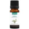 ORGANIC ANGELICA (Angelica archangelica) Essential Oil - 10 ml - 100% Pure, Natural, ChromaCert Certified - Chemotyped & Complete view 1