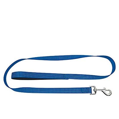 Doogy Reflective Dog Leash, Blue