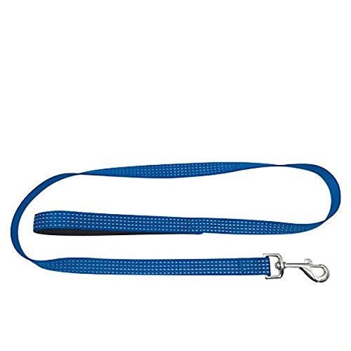 Doogy Reflective Dog Leash, Blue