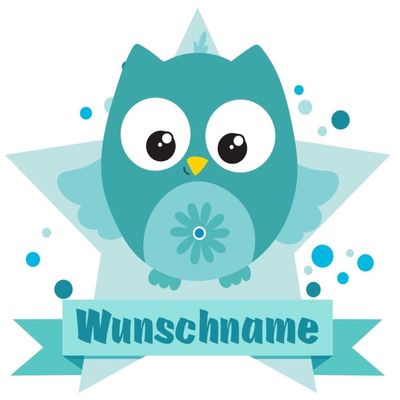 Samunshi Turquoise Owl Door Sign Wall Decal with Customizable Name, 40 x 35 cm