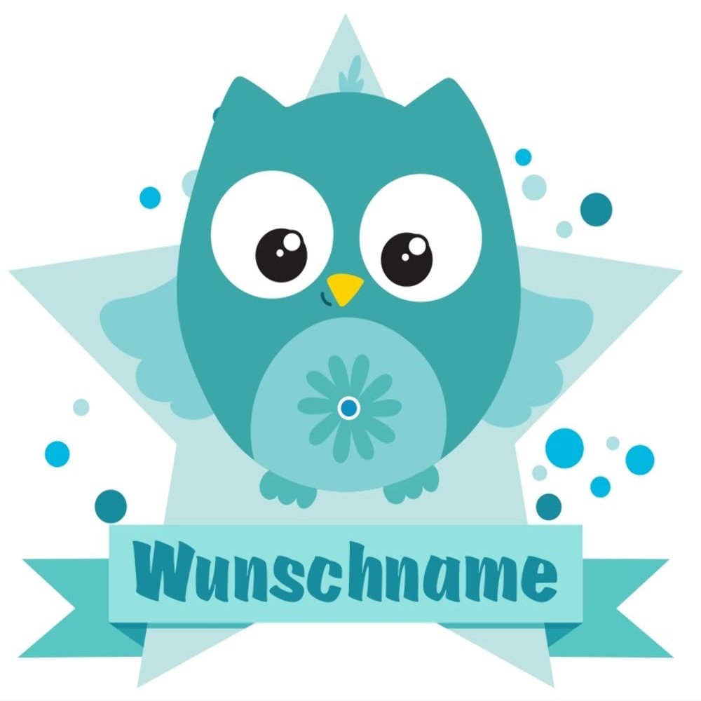 Samunshi Turquoise Owl Door Sign Wall Decal with Customizable Name, 40 x 35 cm